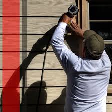 Best Historical Building Siding Restoration  in Round Lake Park, IL